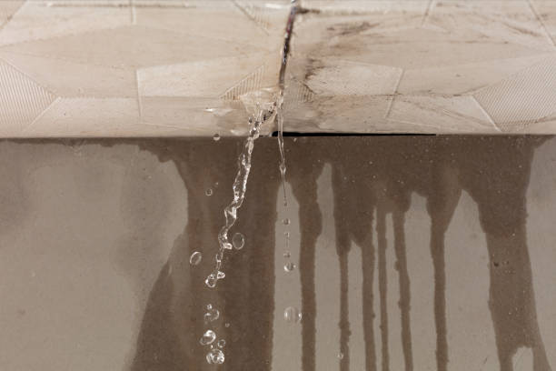 Professional Structural Drying technician working in Haleyville, AL